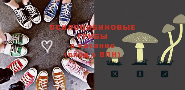 трава Надым