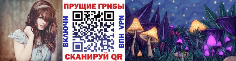 Галлюциногенные грибы Psilocybe shop официальный сайт Рузаевка наркота