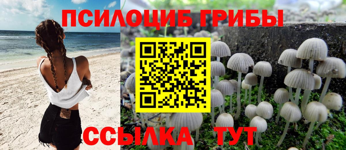 Галлюциногенные грибы мицелий  Рузаевка 