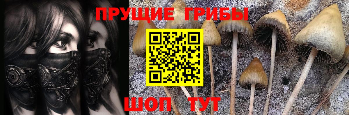 Галлюциногенные грибы ЛСД Рузаевка