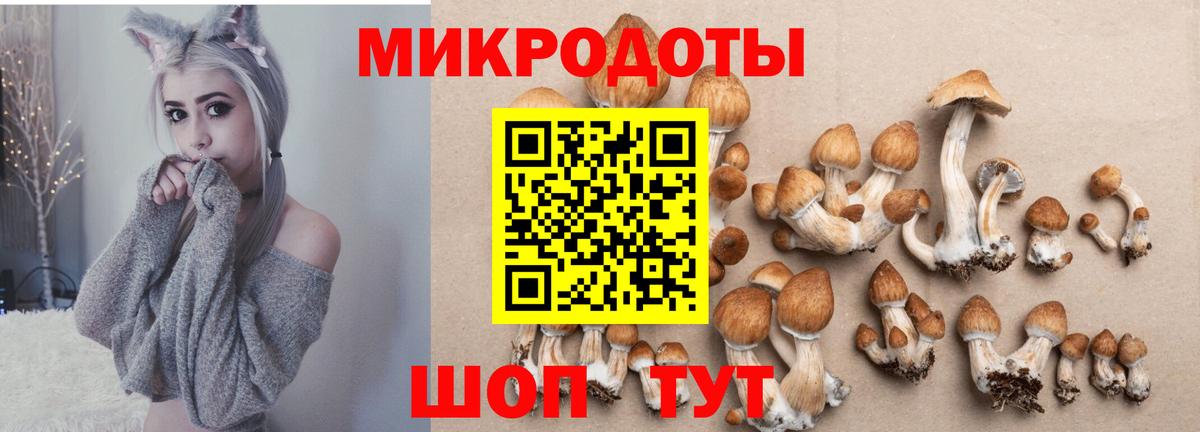 Рузаевка  Галлюциногенные грибы мухоморы  Вход с VPN 